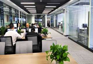 内蒙古微型恶臭监测哪家好