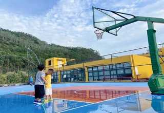 崇明区辐射松木板电话